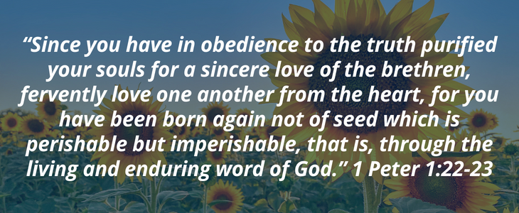 1 Peter 1:22-23