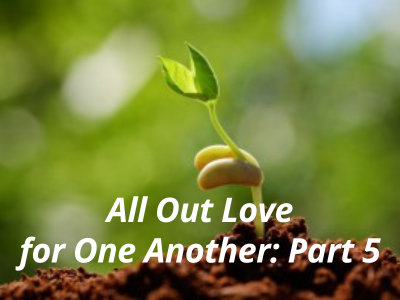 all out love